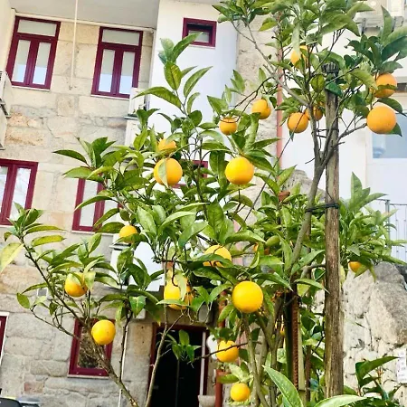 Invicta Guest house Porto