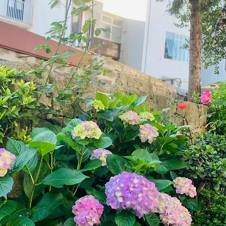Invicta Guest house