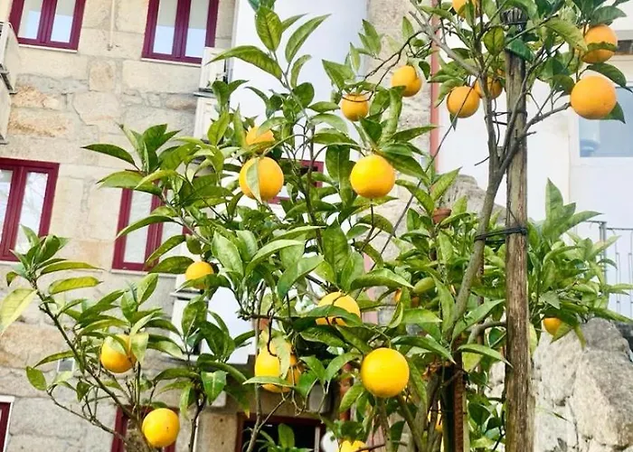 Invicta Pensionat Oporto